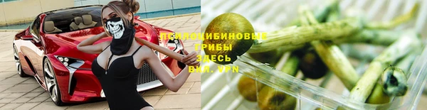 шишки Вязники