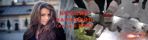 шишки Вязники