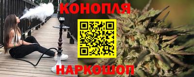 сатива Аша