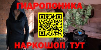 ГАЛЛЮЦИНОГЕННЫЕ ГРИБЫ Берёзовский