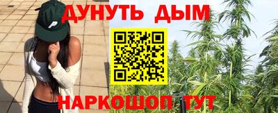 сатива Аша