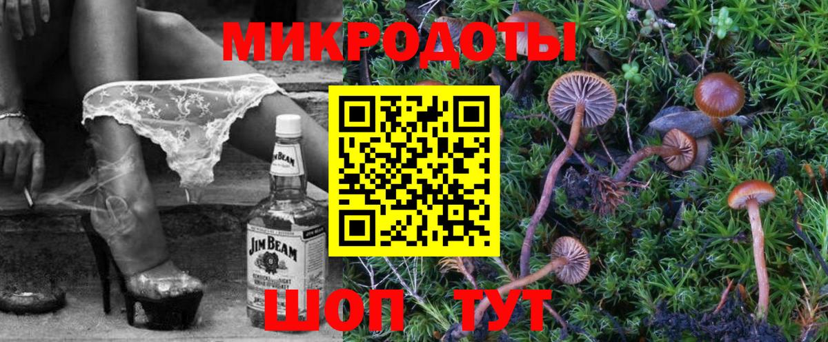 Галлюциногенные грибы мицелий Моршанск