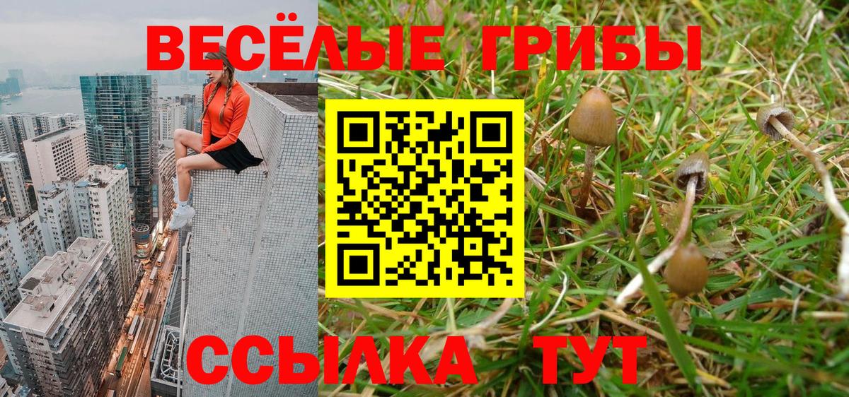 Галлюциногенные грибы Magic Shrooms  Моршанск 