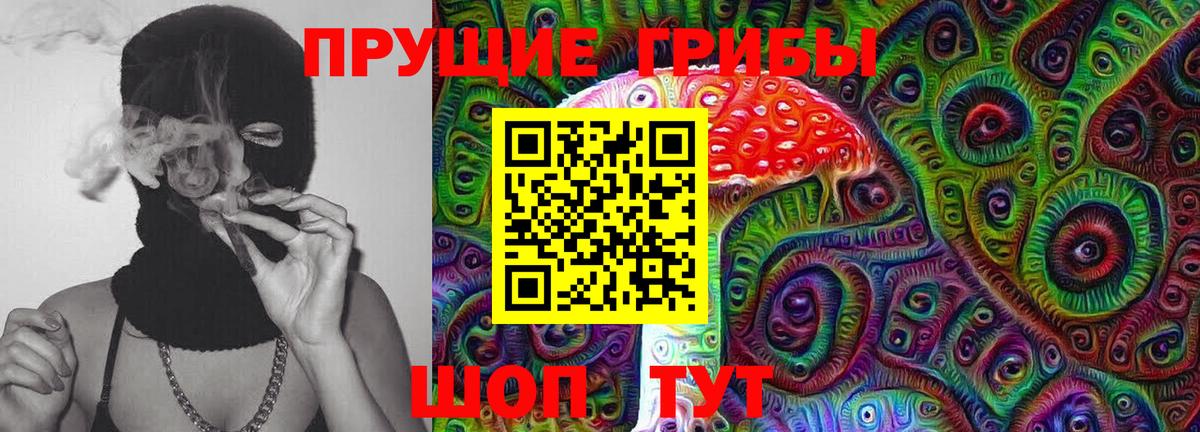 Псилоцибиновые грибы мухоморы  где продают   Моршанск  Вход с VPN 